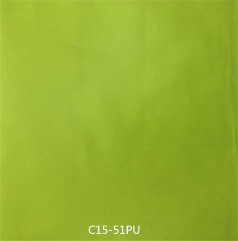 深圳C15-51PU